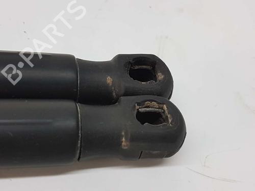 Tailgate lift support RENAULT SCÉNIC II (JM0/1_) 1.6 16V (JM1R) | BP14537534C138