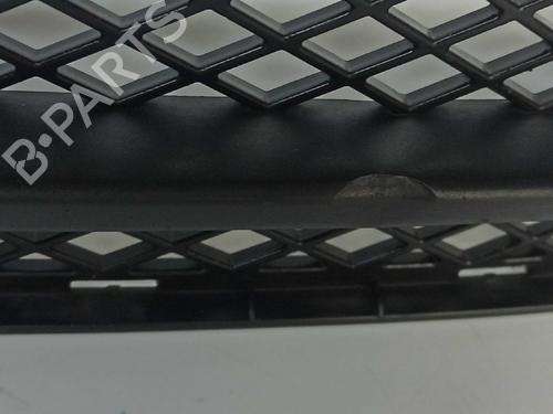 Grille BMW 3 (E90) 320 d | BP14541242C40 