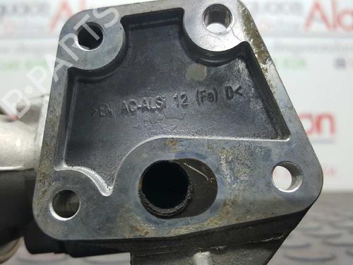 Egr AUDI A3 (8P1) 1.6 | BP2734252M69