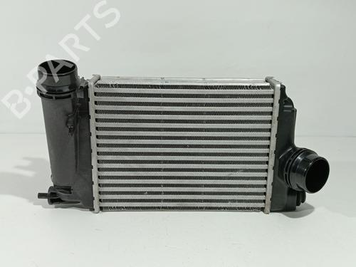 Used Intercooler Intercooler MERCEDES-BENZ CITAN Box Body/MPV (W420) [2021-2026] 36050452 36050452