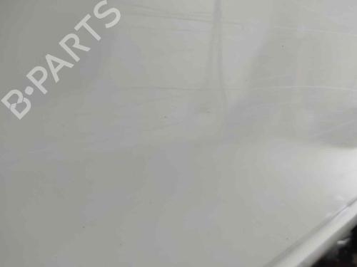 Right front door NISSAN PATHFINDER III (R51) 2.5 dCi | BP7436316C3 