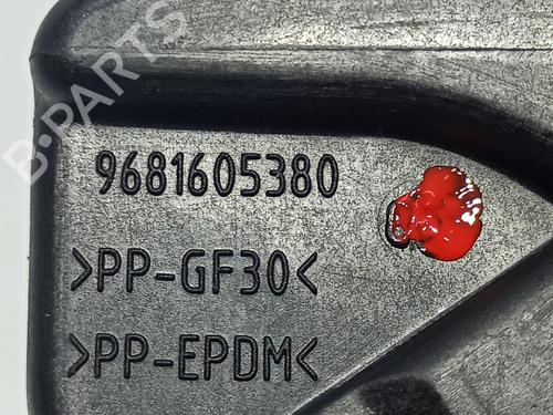 Fuel flap CITROËN C3 Picasso (SH_) 1.6 HDI 90 | BP12578195C131 