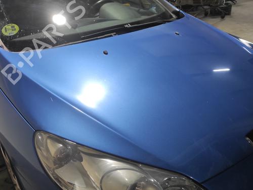 Hood PEUGEOT 407 (6D_) 2.0 (6DRFNB, 6DRFNE) | BP21784208C1