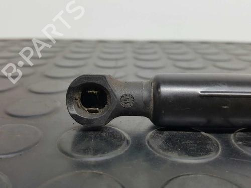 Hood lift support DACIA DOKKER Box Body/MPV 1.5 dCi (FEAJ) | BP14532578C139