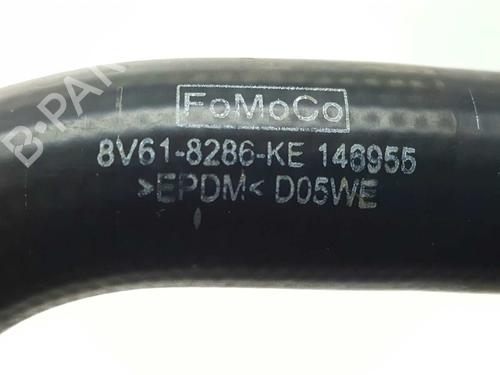 Pipe FORD FOCUS III 1.6 TDCi | BP14536133M125