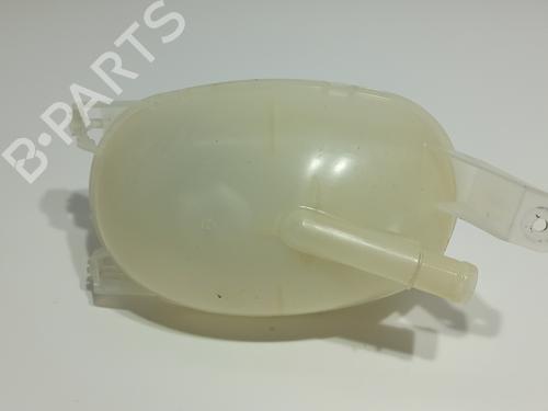 Expansion tank RENAULT EXPRESS Box Body/MPV  | BP19498800C120