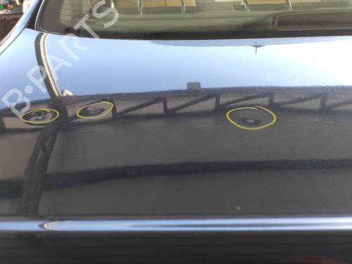 Tailgate MERCEDES-BENZ S-CLASS (W220, V220) S 320 CDI (220.025, 220.125) | BP17024585C6