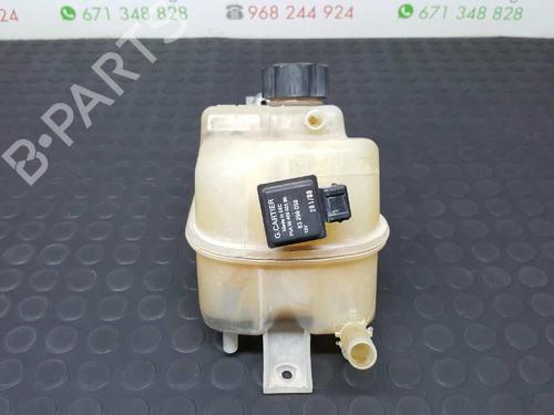 Expansion tank PEUGEOT PARTNER MPV (5_, G_) 2.0 HDI | BP2732893C120