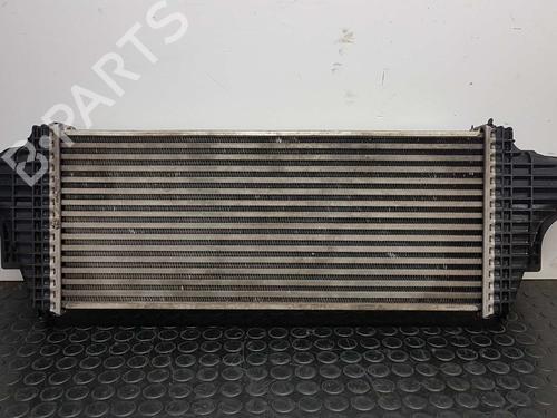 Intercooler MERCEDES-BENZ M-CLASS (W164) ML 300 CDI 4-matic (164.120) | BP5795917M30