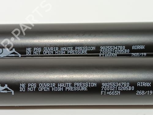 Tailgate lift support PEUGEOT 2008 II (UD_, US_, UY_, UJ_, UR_, UC_) 1.2 PureTech 130 (USHNS, URHNS) | BP15381342C138