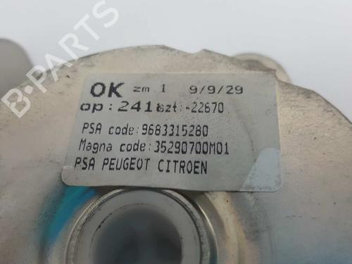 Tailgate lift support PEUGEOT 3008 I MPV (0U_) 1.6 HDi | BP14534676C138 