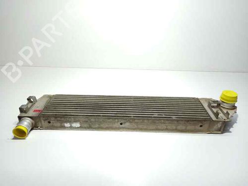 Ladeluftkühler RENAULT MEGANE II (BM0/1_, CM0/1_) 2.0 dCi (BM1K, CM1K) | BP30606938M30
