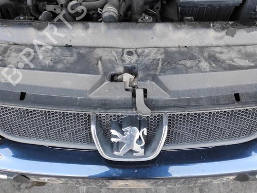 Grille PEUGEOT 406 (8B) 2.0 HDI 90 | BP27509398C40