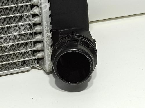 Water radiator BMW i3 (I01) Electric | BP19690914M31 