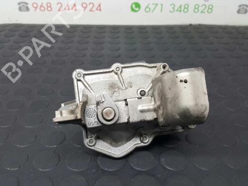 Egr RENAULT KANGOO Express (FW0/1_)  | BP2733033M69