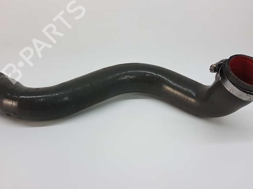 Used Pipe RENAULT SCÉNIC II (JM0/1_) 1.5 dCi (JM1E, JM16) (106 hp) 14538116