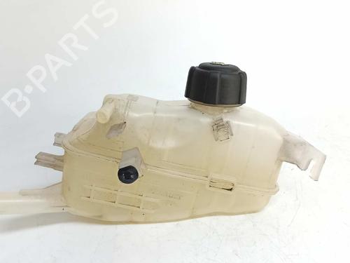 Expansion tank RENAULT MEGANE III Coupe (DZ0/1_) 1.6 16V (DZ0U, DZ1B, DZ1H) | BP7856495C120