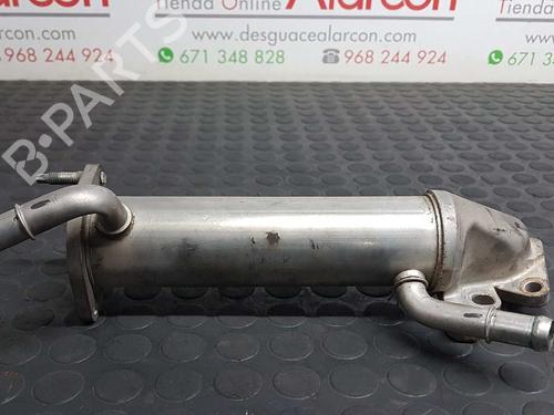 Egr FIAT DUCATO Van (250_)  | BP14531165M69 