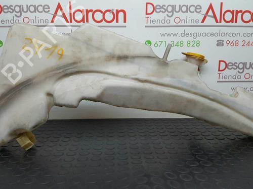Windscreen washer tank NISSAN PATHFINDER III (R51) 2.5 dCi | BP7425692C113 