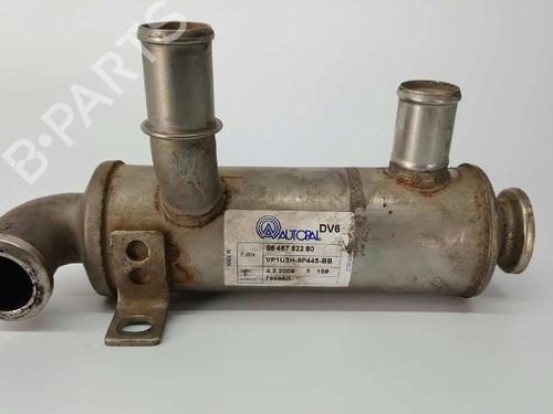 Egr PEUGEOT PARTNER MPV (5_, G_) 1.6 HDi 90 | BP14532801M69 