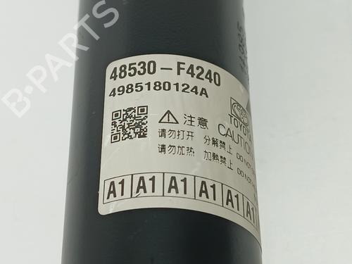 Left rear shock absorber TOYOTA C-HR (_X2_, _H2_) Hybrid (ZYX20) | BP19165151M18