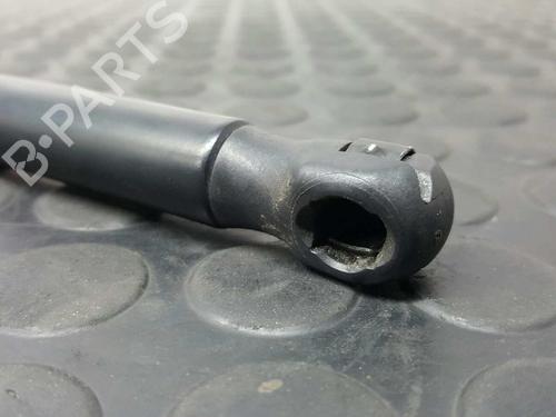 Hood lift support VW EOS (1F7, 1F8) 2.0 TDI | BP14528692C139 