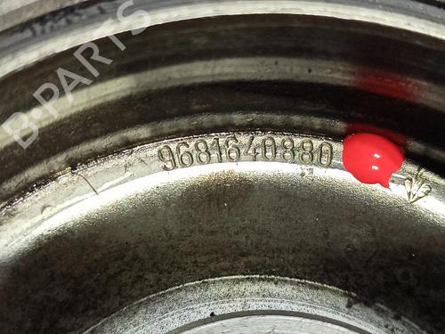 Remskive PEUGEOT 3008 I MPV (0U_) 2.0 HDi | BP16673984M122