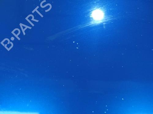 Hood FIAT GRANDE PUNTO (199_) 1.4 (199AXB11, 199AXB1A, 199BXB1A, 199AXL1A) | BP10905206C1