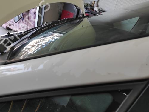 Left front fenders SEAT ALHAMBRA (7V8, 7V9) 1.9 TDI | BP27602341C41