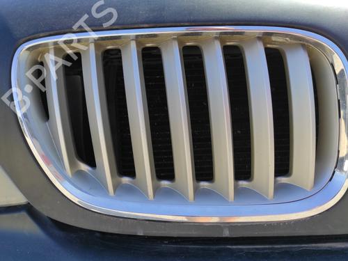 Grille BMW X5 (E53) 4.4 i BP13100120C40
