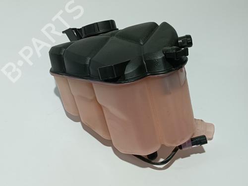 Expansion tank LAND ROVER RANGE ROVER EVOQUE (L538) 2.0 4x4 | BP11828551C120 