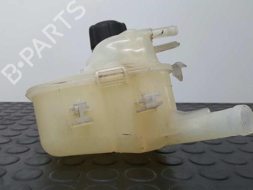 Expansion tank RENAULT GRAND SCÉNIC III (JZ0/1_) 1.5 dCi (JZ0B, JZ07) | BP2759531C120