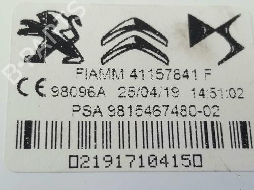 Other DS DS 7 Crossback (J4_, JR_, JC_)  | BP14539343O1 