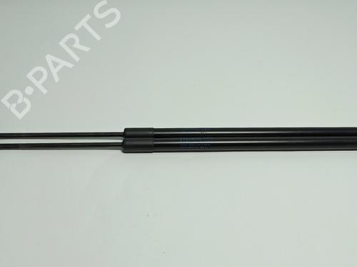 Used Tailgate lift support BMW 1 (F21) 116 d (116 hp) 17824003