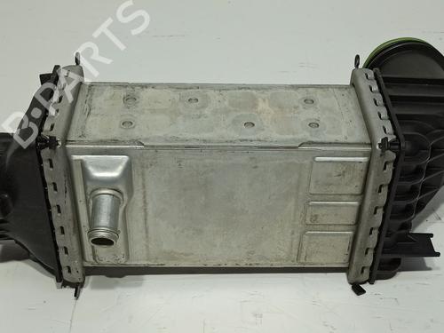 Intercooler SKODA SCALA (NW1) 1.0 TSI | BP31807667M30