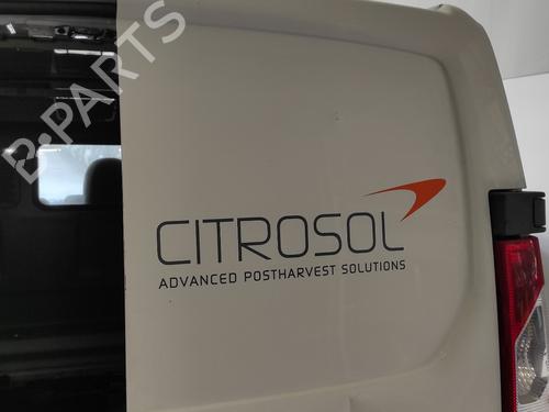 Right tailgate CITROËN JUMPY II Van 2.0 HDi 125 | BP18733521C77 