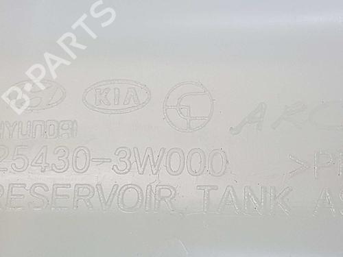Expansion tank KIA CARENS IV 1.7 CRDi | BP9079465C120 