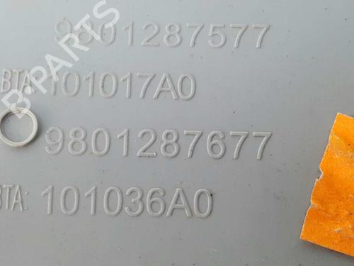 Interior roof light CITROËN C4 CACTUS 1.2 VTi 82 | BP7425186I8 