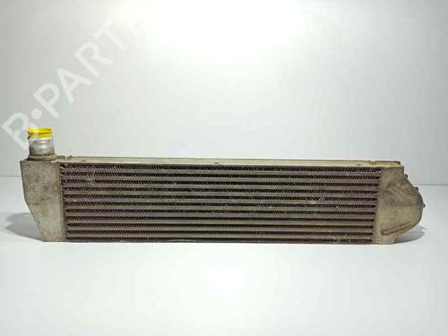 Ladeluftkühler RENAULT MEGANE II (BM0/1_, CM0/1_) 2.0 dCi (BM1K, CM1K) | BP30606938M30