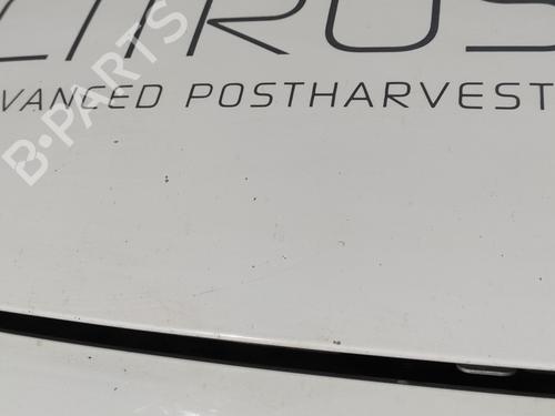 Hood CITROËN JUMPY II Van 2.0 HDi 125 | BP18733511C1 