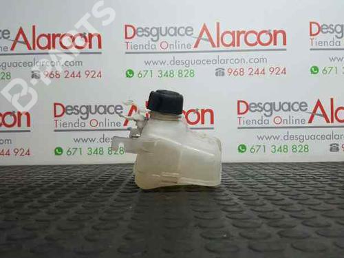 Expansion tank RENAULT MEGANE III Hatchback (BZ0/1_, B3_) 1.5 dCi (BZ09, BZ0D, BZ1W, BZ29, BZ14) | BP2731882C120 