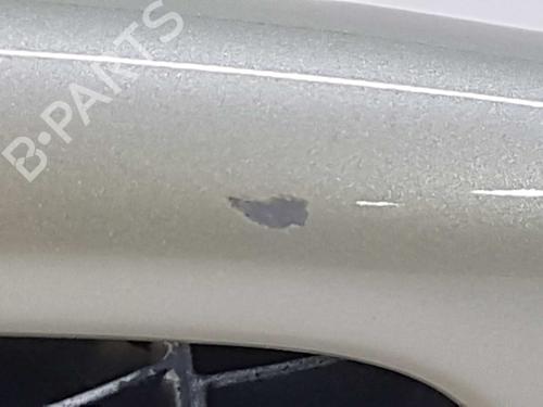 Rear left exterior door handle RENAULT LAGUNA II (BG0/1_) 1.6 16V (BG0A, BG0L) | BP6302566C130 