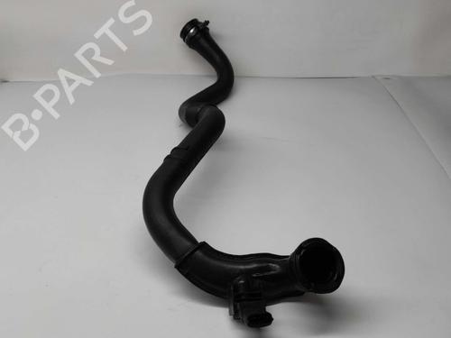 Used Pipe RENAULT SCÉNIC II (JM0/1_) [2003-2010]  31336608