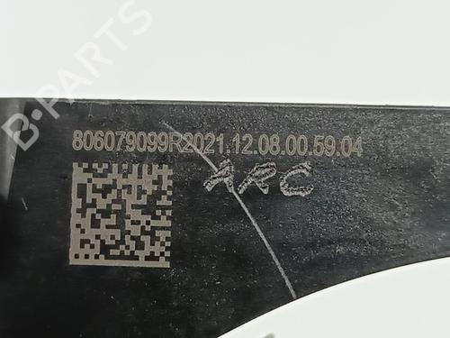 Rear left exterior door handle DACIA SANDERO III 1.0 TCe 100 ECO-G | BP12176694C130 