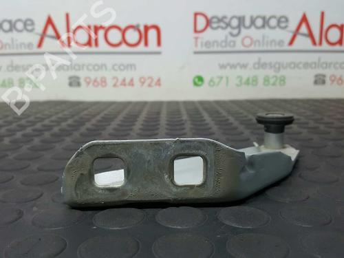 Hinge/Door check strap RENAULT KANGOO / GRAND KANGOO II (KW0/1_) 1.5 dCi 90 (KW05, KW08, KW0G, KW11) | BP14530418C146 