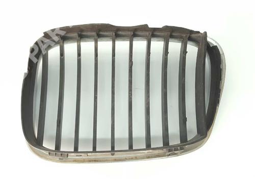 Grille BMW 5 (E39) 530 d | BP4829389C40 