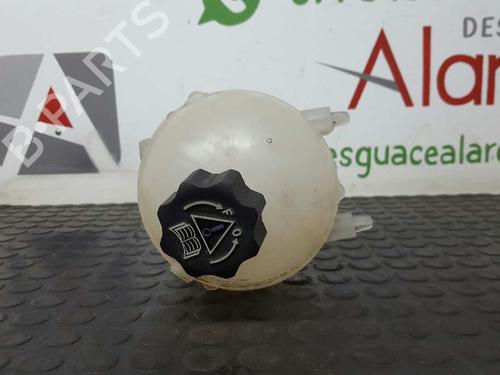 Expansion tank CITROËN BERLINGO MULTISPACE (B9) 1.6 HDi 110 | BP2733605C120 