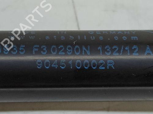 Tailgate lift support RENAULT MEGANE III Coupe (DZ0/1_) 1.6 16V (DZ0U, DZ1B, DZ1H) | BP14540156C138