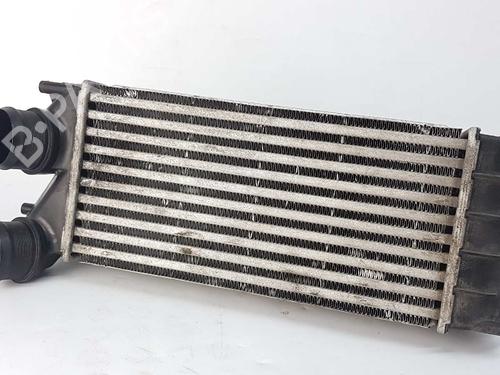 Intercooler CITROËN C4 II (NC_) 1.6 HDi 115 (114 hp) 0384N9 | 9684212480