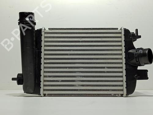 Intercooler NISSAN JUKE (F16_) 1.0 | BP29873546M30